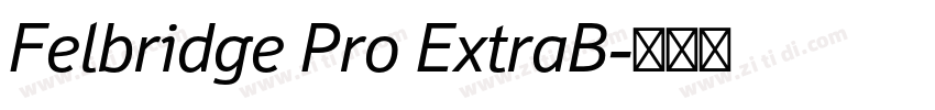 Felbridge Pro ExtraB字体转换